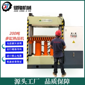 200吨伺服双缸热固成型液压机